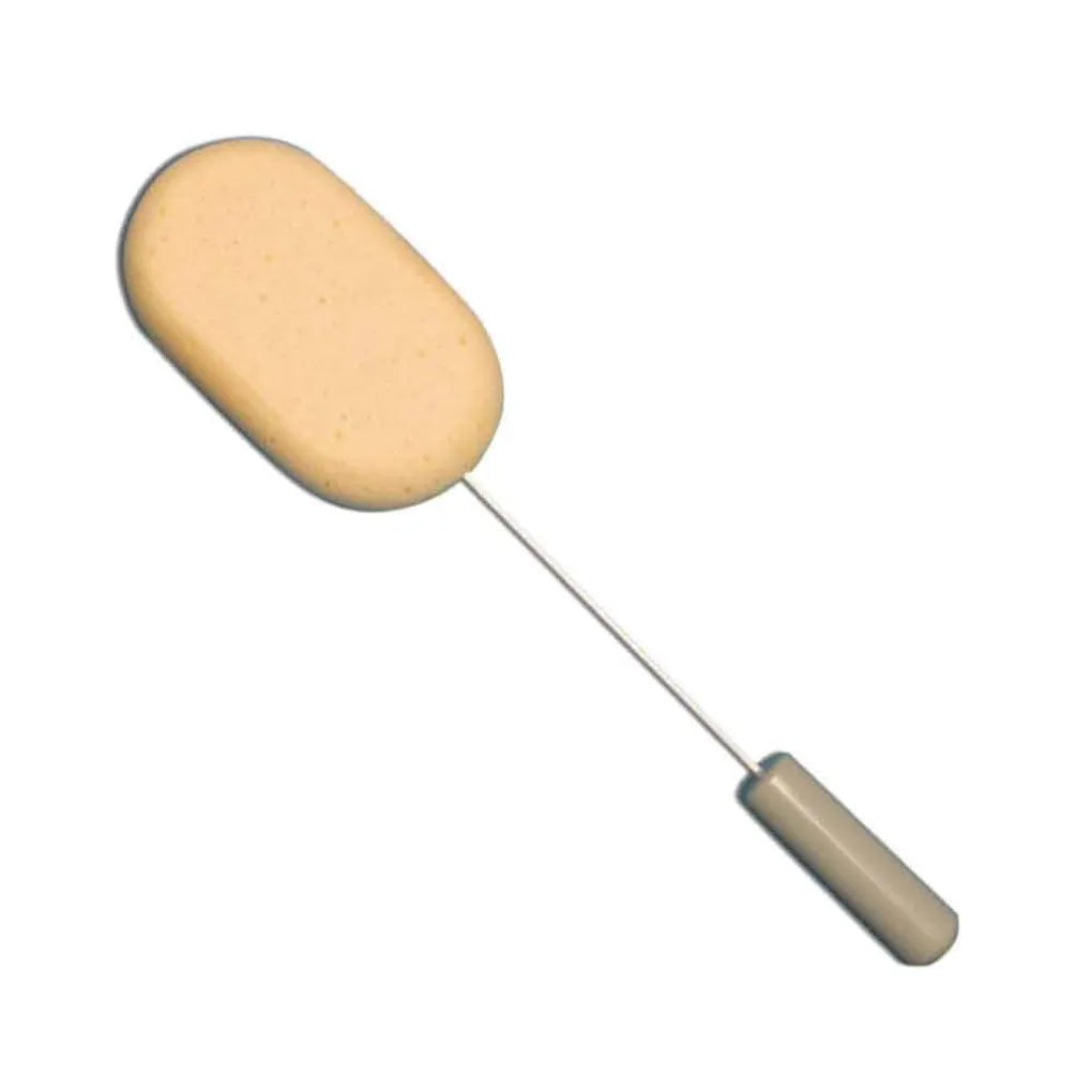 Long Handled Sponge