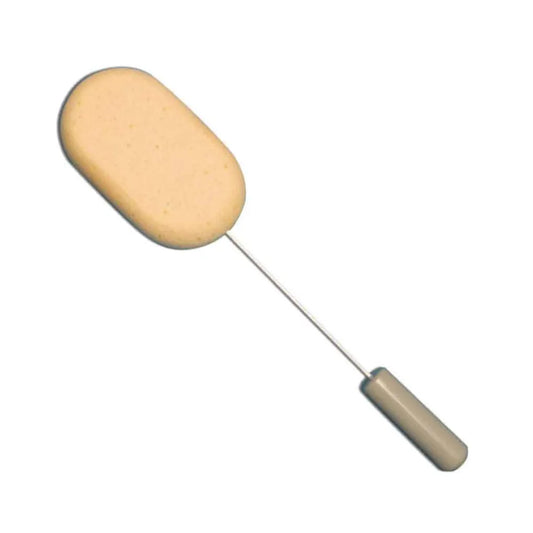 Long Handled Sponge